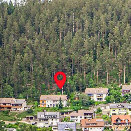 شقة Amazing In Schonach Im Schwarzwal *