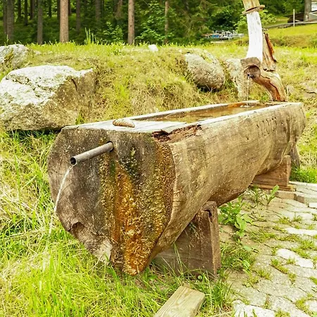 Amazing In Schonach Im Schwarzwal * سخوناخ