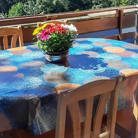 Apartment Lovely In Schonach Im Schwarzwal