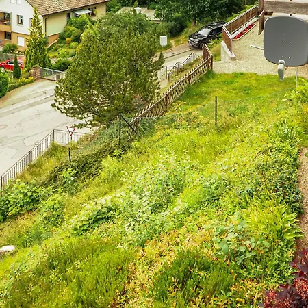 Apartment Lovely In Schonach Im Schwarzwal
